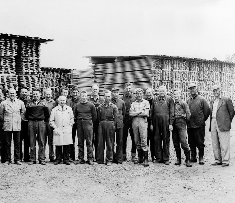 Livsverk Samlet På Saga