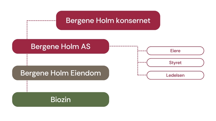 Bergene Holm Konsernet Viualisering