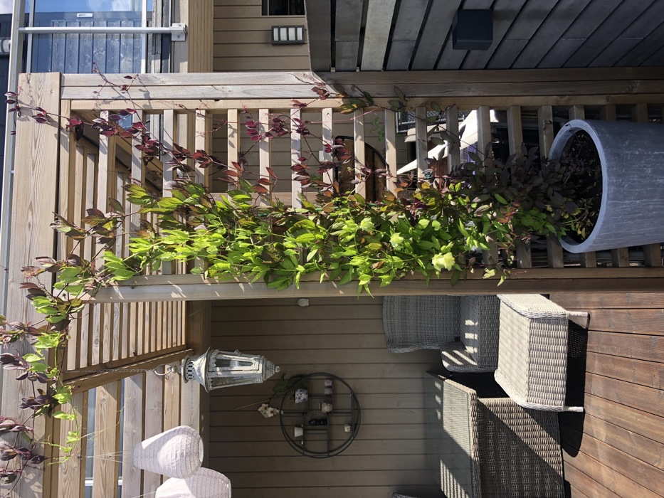 Uteromsprisen Platting Terrasse Pergola Spiler5