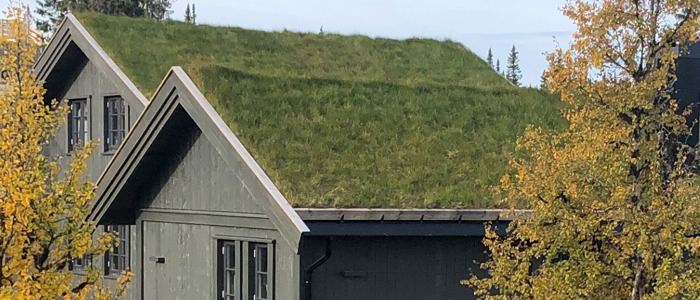 Hytteprisen 4 Utvendig Torvtak Tradisjonell