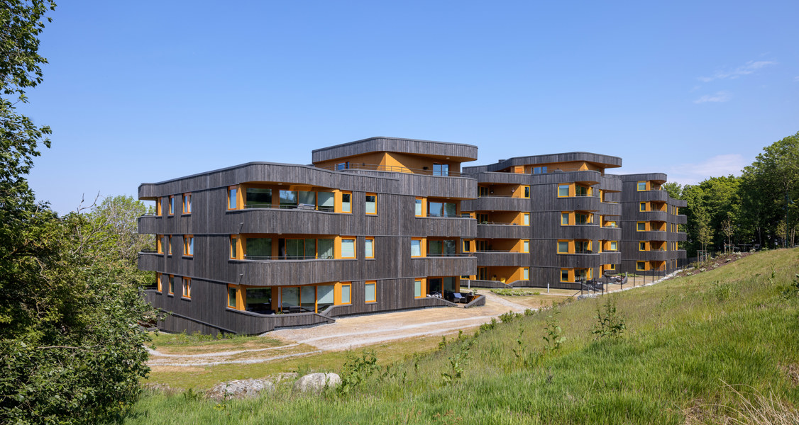 Kledning NORD Husene I Skogen 5