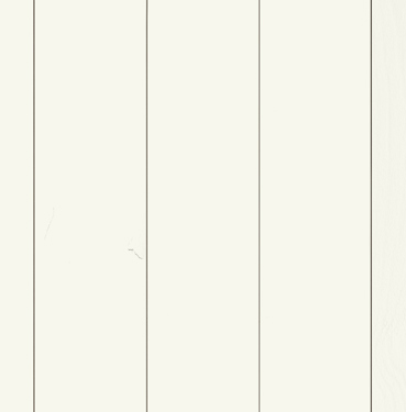 Vegg_Panel_Glattpanel_Natur_14x120mm_Malt S0502-Y.jpg