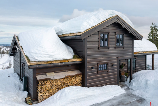 Umbraco.Cms.Infrastructure.PublishedCache.Property