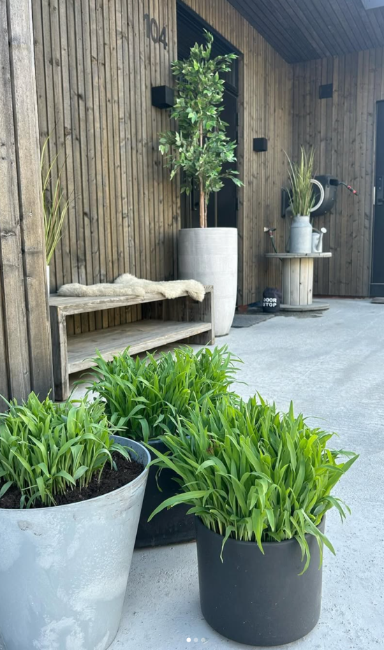 Skjermbilde 2025 08 05 Kl. 09.41.00