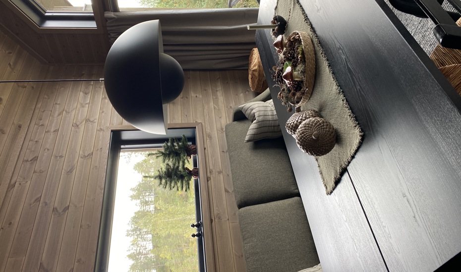 Hytteprisen Drivvedgrå6. Stuejpeg