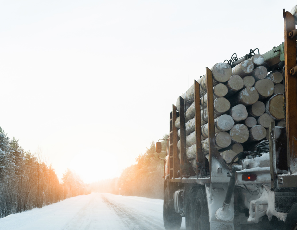 Trailer Med Tømmer Snø