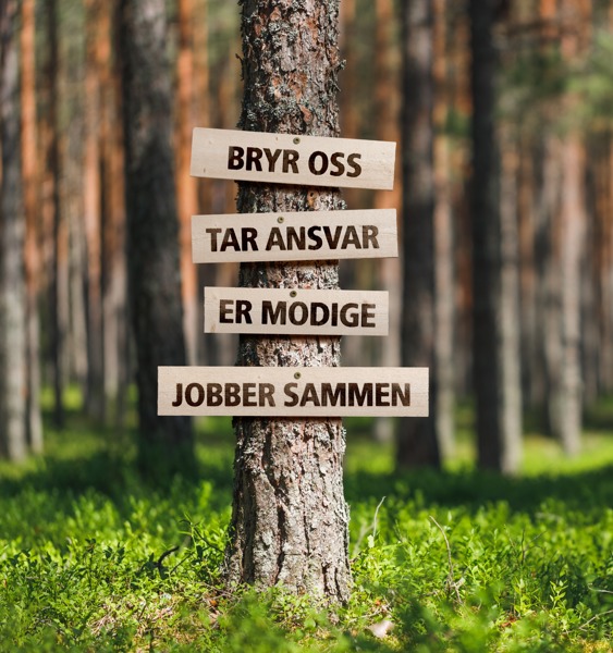 Skog Med Skilt Verdier Og Fokusområder 0821 (Edited)