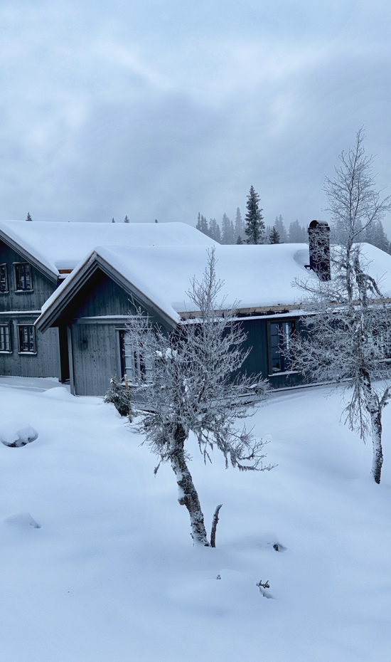 Hytteprisen 8 Utvendig Snø
