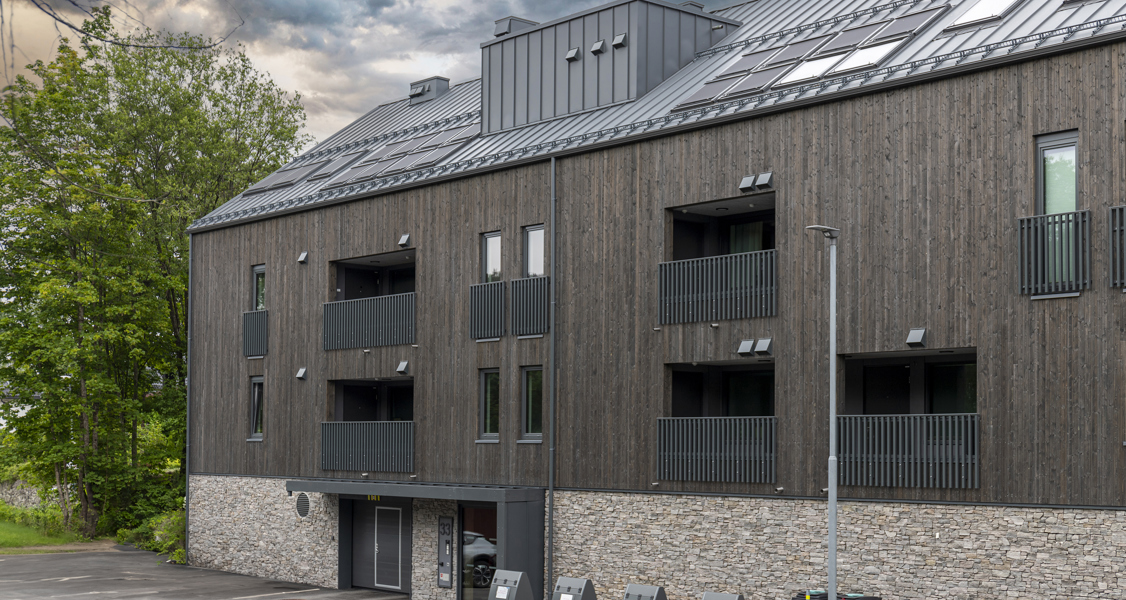 Kledning NORD Dobbelfals Rett Søndre Gjettum Gård 2024 06 0002 3 (1)
