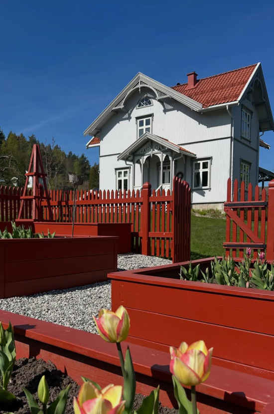 Umbraco.Cms.Infrastructure.PublishedCache.Property
